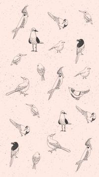 Free Birds Templates, Birds Graphic Resources and Ideas for Design | Fotor