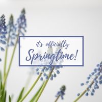 season, social medium, instagram ad, Spring purple Instagram Post Template
