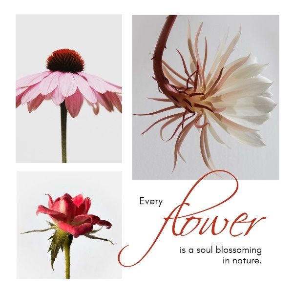 blossoming, inspiration, life, Flower Blossom Instagram Post Template