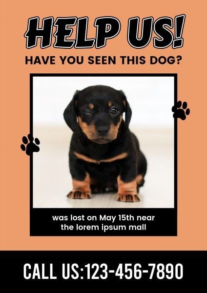 黑色和棕色失踪的狗照片 英文海报