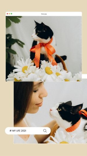 猫咪宠物照片拼贴 Instagram快拍