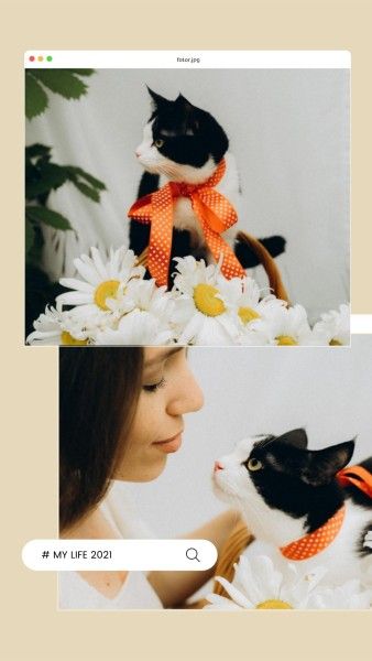 designwithfotor, my2021, life, Cat Pet Photo Collage Instagram Story Template