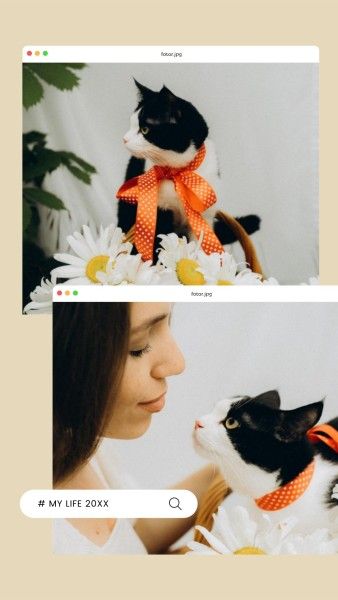 animal, cute, life, Cat Pet Photo Collage Instagram Story Template