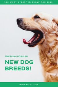 animal, dog breed, dog breeds, Pet Dog Photo Pinterest Post Template