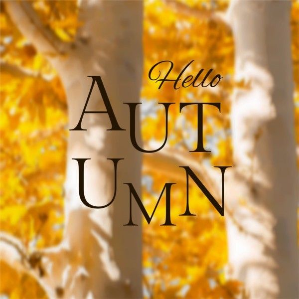 fall, season, greeting, Golden Minimalist Hello Autumn Instagram Post Template