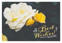 best wishes, greetings, post card, Wishing Postcard Template