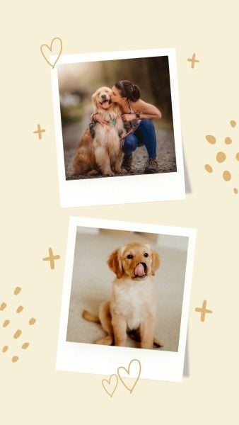 dog, pet, love, Yellow Simple Polaroid Photo Collage Instagram Story Template