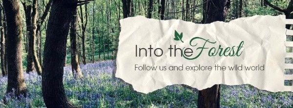 forest, journey, tour, Green Nature Facebook Cover Template