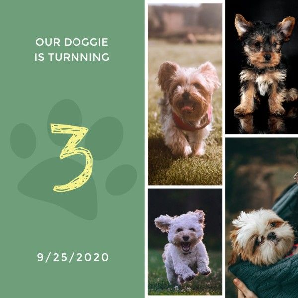 Green Doggie Photo Collage (Square)