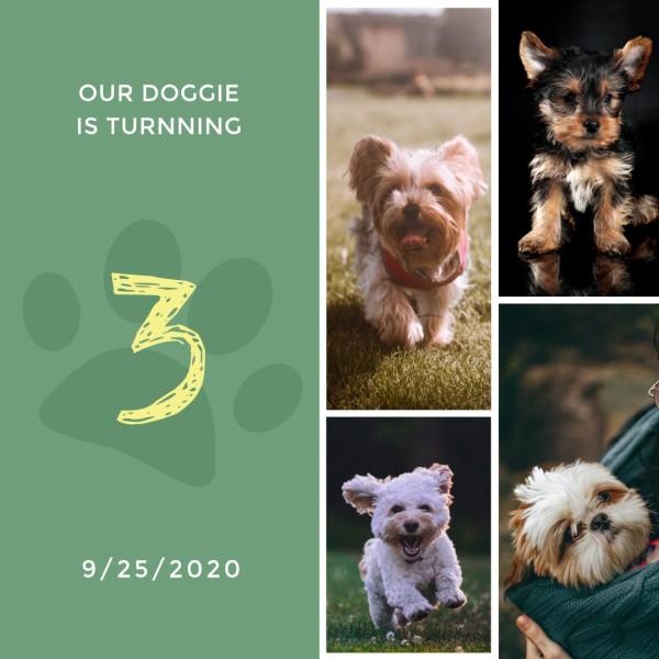 Green Doggie Photo Collage Photo Collage