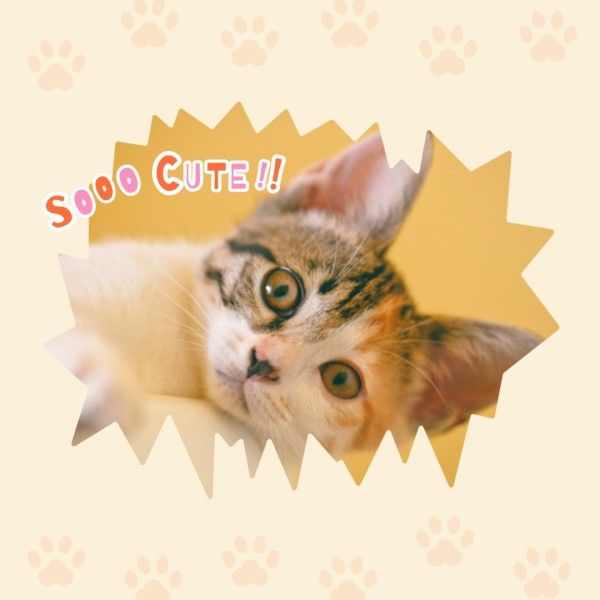 cat, modern, animal, Yellow Simple Cute Pets Photo Instagram Post Template