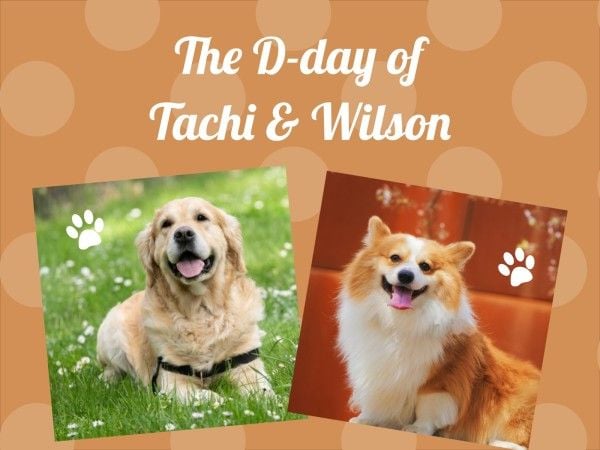 cuteness, photograph, love, Dog Friendship Collage Photo Collage 4:3 Template