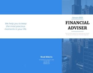 Blue Financial Adviser  Brochure