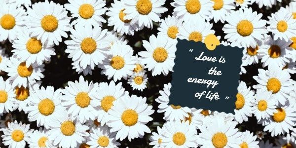 love, plant, flower, White And Yellow Daisy Wallpaper Twitter Post Template