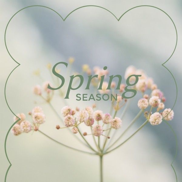 绿色的春天花朵盛开 Instagram帖子