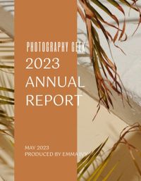 棕色和简单的摄影企业年度报告 报告