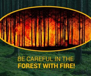 recycle, environment protection, desert, Be Careful In The Forest With Fire   Facebook Post Template