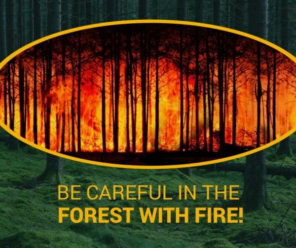 Be Careful In The Forest With Fire   Facebook Post