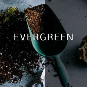 Evergreen ETSY Shop Icon