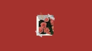 flower, plants, life, Beautiful Red Rose Desktop Wallpaper Template