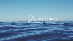 lifestyle, cool, water, Life Ocean Desktop Wallpaper Template