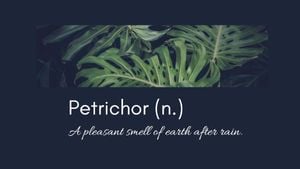 after rain, nature, plant, Black Petrichor Desktop Wallpaper Template