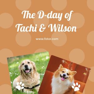 photograph, animal, pet, Dog Friendship Collage Photo Collage (Square) Template