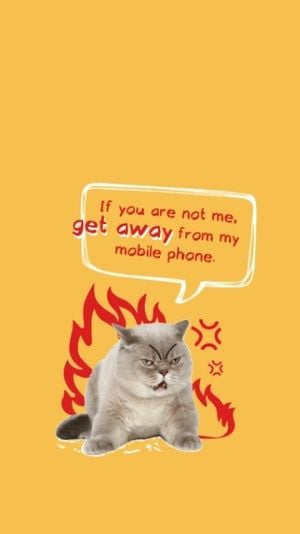 Funny Angry Cat Speech Bubble Wallpaper Mobile Wallpaper Template and Ideas  for Design | Fotor