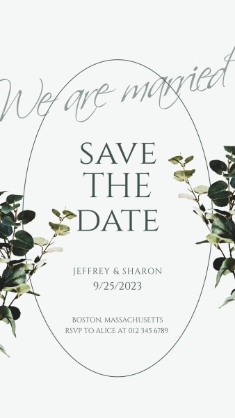 We Are Married Save The Date  Instagram Story