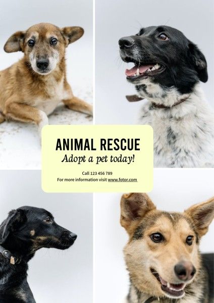animal, dog, rescue, Adopt A Pet Today Poster Template