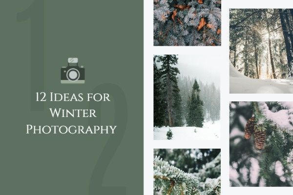 shoot, snapshot, skill, 12 Ideas For Winter Photography Blog Title Template