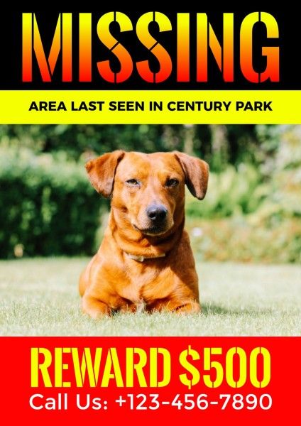 lost, pet, cat, Modern Missing Dog Ad Poster Template