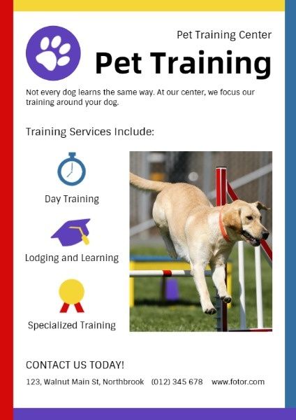 pet center, service, business, White Pet Training Ads Flyer Template