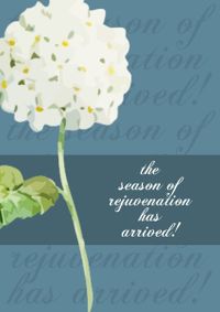花卉季节 英文海报