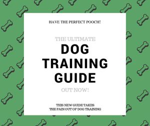 tips, dog training, guide, Pet Training Facebook Post Template