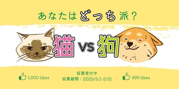 Yellow Cute Cat And Dog Twitter Post