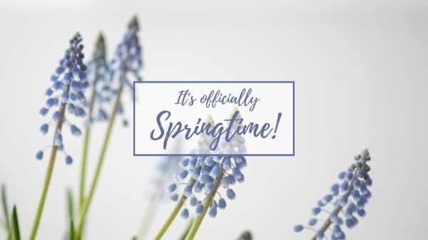 Spring Style Wallpaper