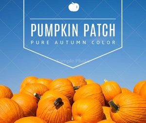 fall, season, quote, Pumpkin autumn Facebook Post Template
