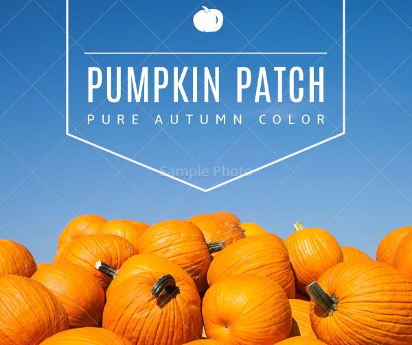 Pumpkin autumn Facebook Post
