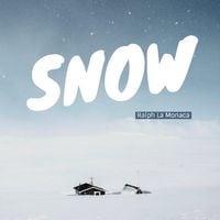 雪 专辑封面
