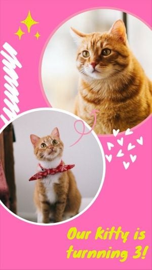 photograph, love, life, Pink Cat Birthday Photo Collage 9:16 Template