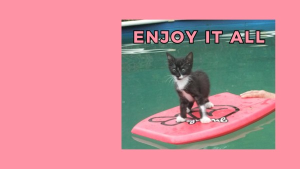 Pink Cat Swimming Wallpaper
