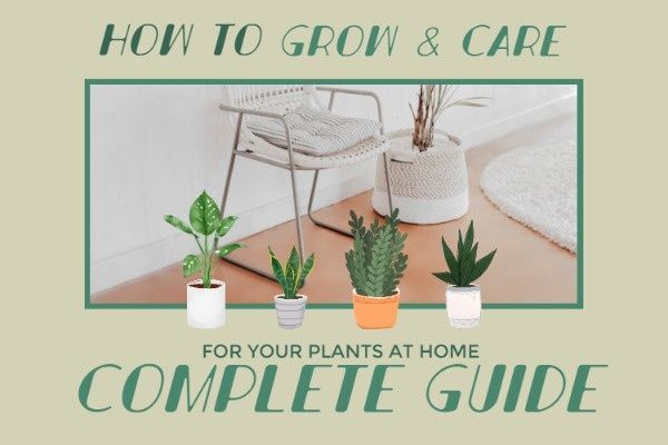 plant, cultivation, green plant, Flowerpot Care Blog Title Template