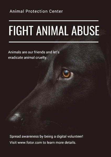 虐待动物的战斗 英文海报