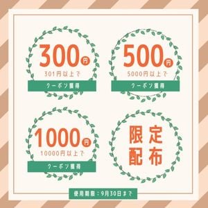 post, social media, japan, Coupon Sale Discount Promotion Line Rich Message Template