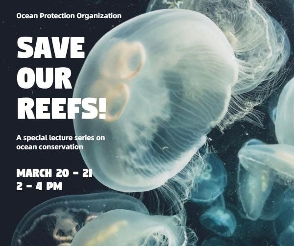 Save Our Reefs Now  Facebook Post