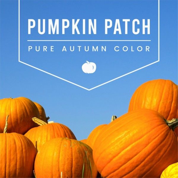 season, fall, simple, Autumn Pumpkin Patch Instagram Post Instagram Post Template