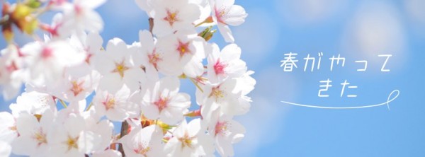 Blue Beautiful Spring Flower Facebook Cover