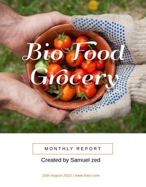 Food Grocery Monthly Report Template Report
