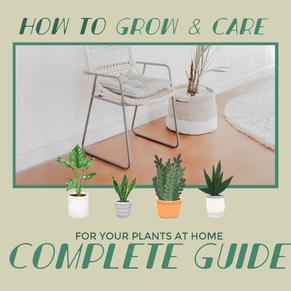 life, house, plant, Flowerpot Care Instagram Post Template
